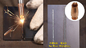 Qilin Head Max Source Handheld Fiber Laser Welder voor roestvrij staal Carbon Steel Aluminium Plaat