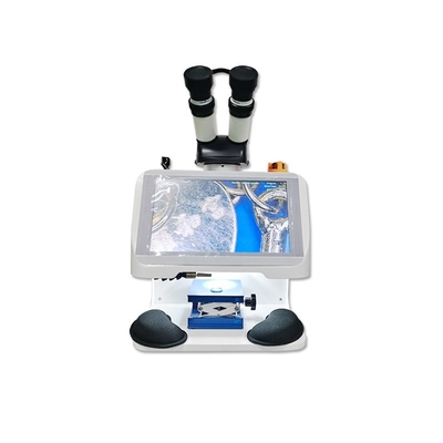 Draagbare bureaublad 60W YAG lasersweismachine voor sieraden met waterkoeling